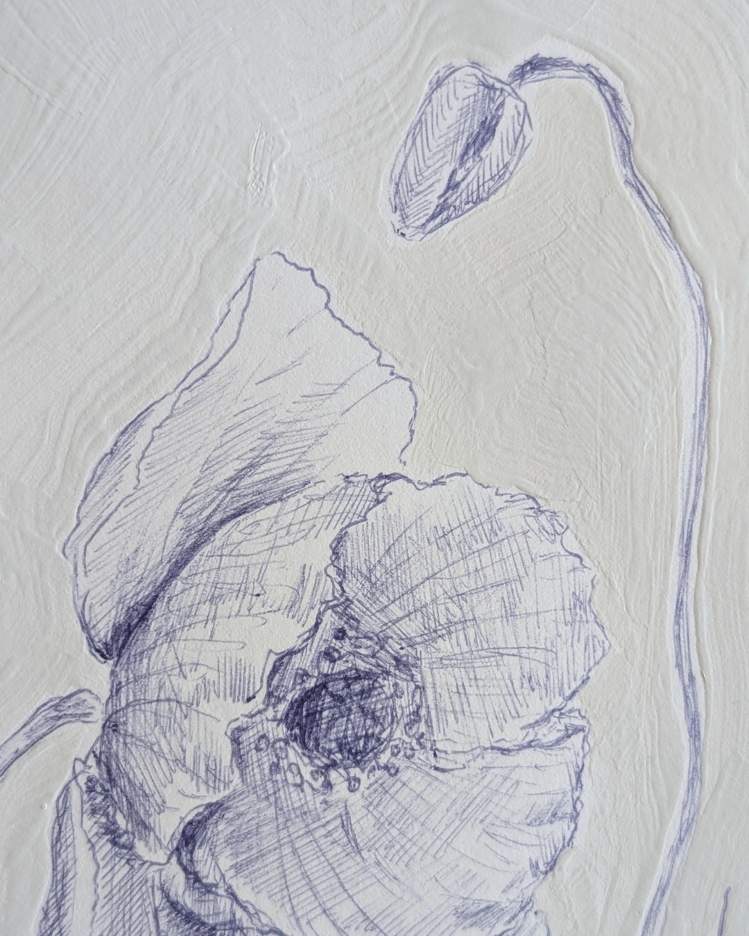 Papery Poppy