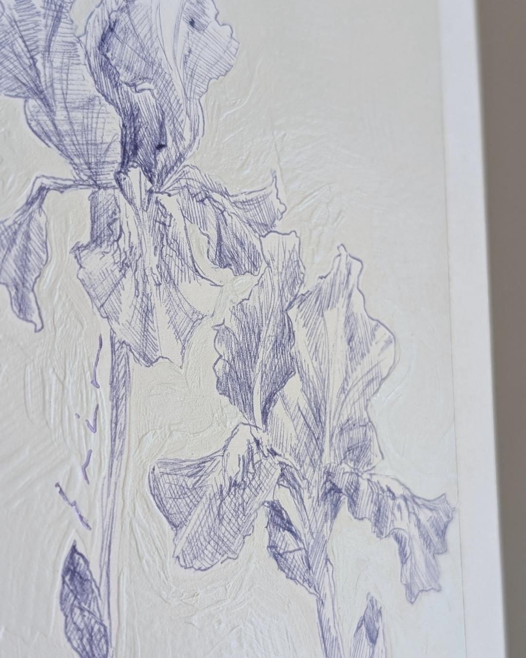 Iris Pair