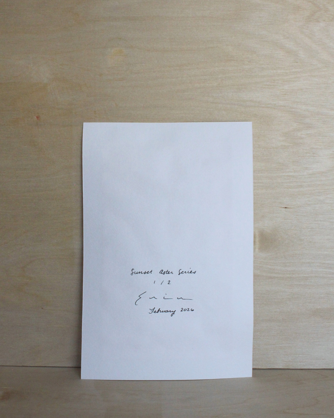 Sunset Aster Series - 1/2