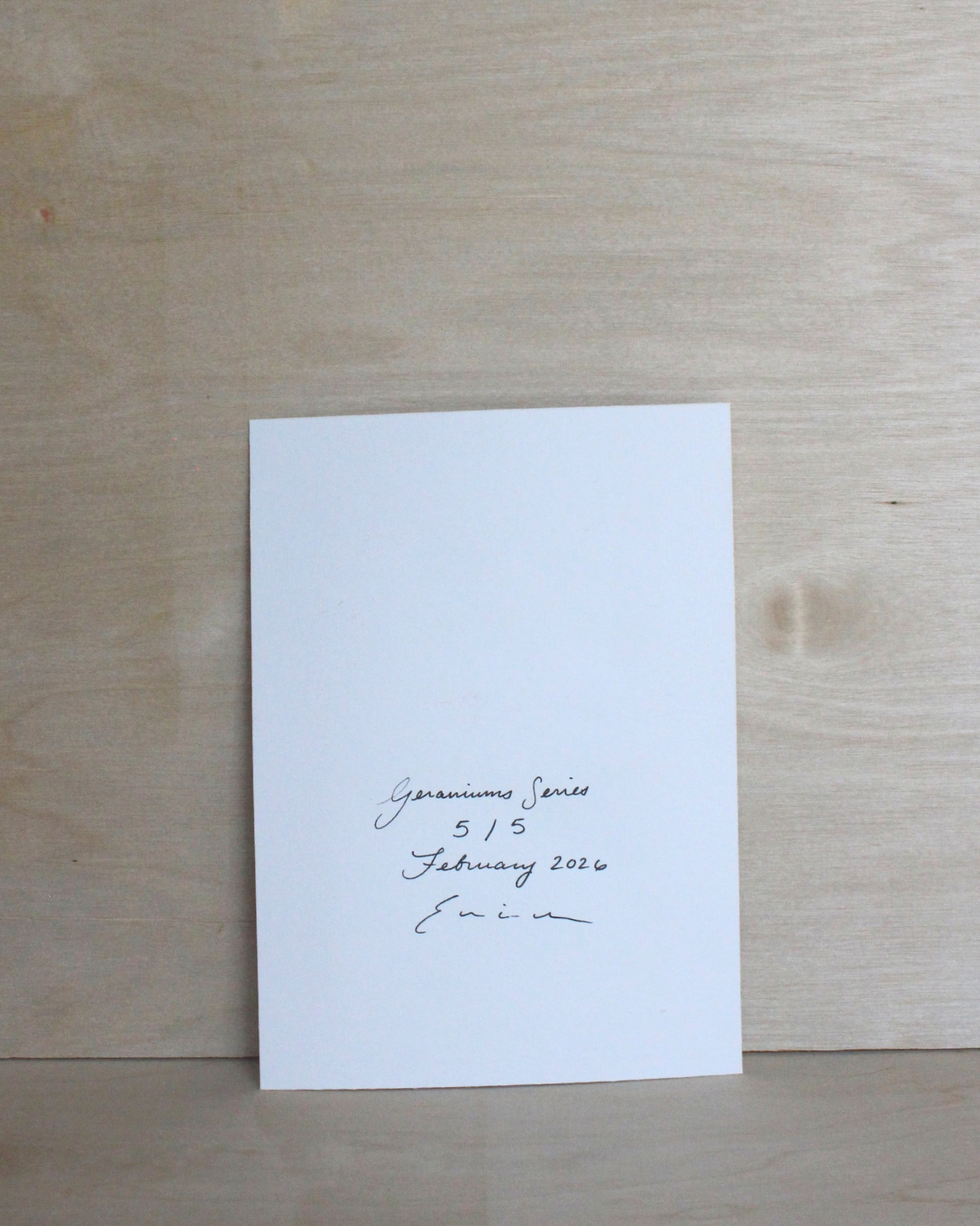 Geraniums Series - 5/5