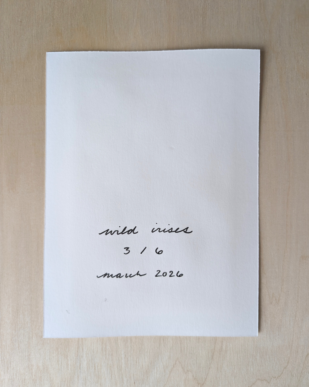 Wild Irises 3/6
