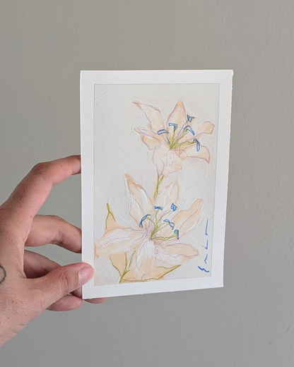 Silky Lilies 1/2