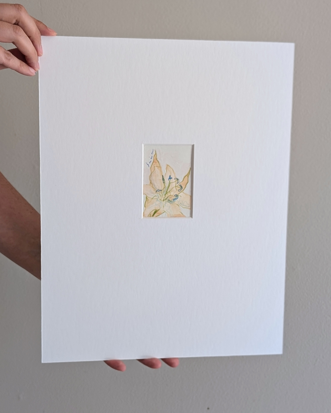 Mini Silky Lilies 2/2