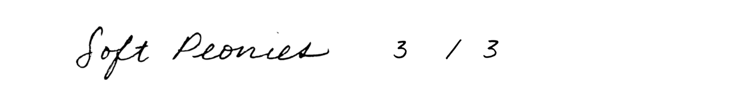 Soft Peonies 3/3