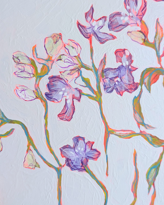 Blind Larkspur Study 3/3