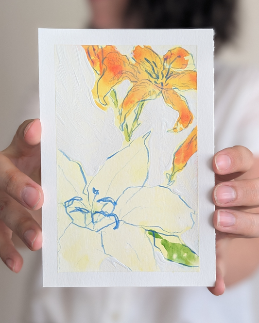 Lily Study 3/3