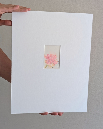 Mini Soft Peonies 2/2