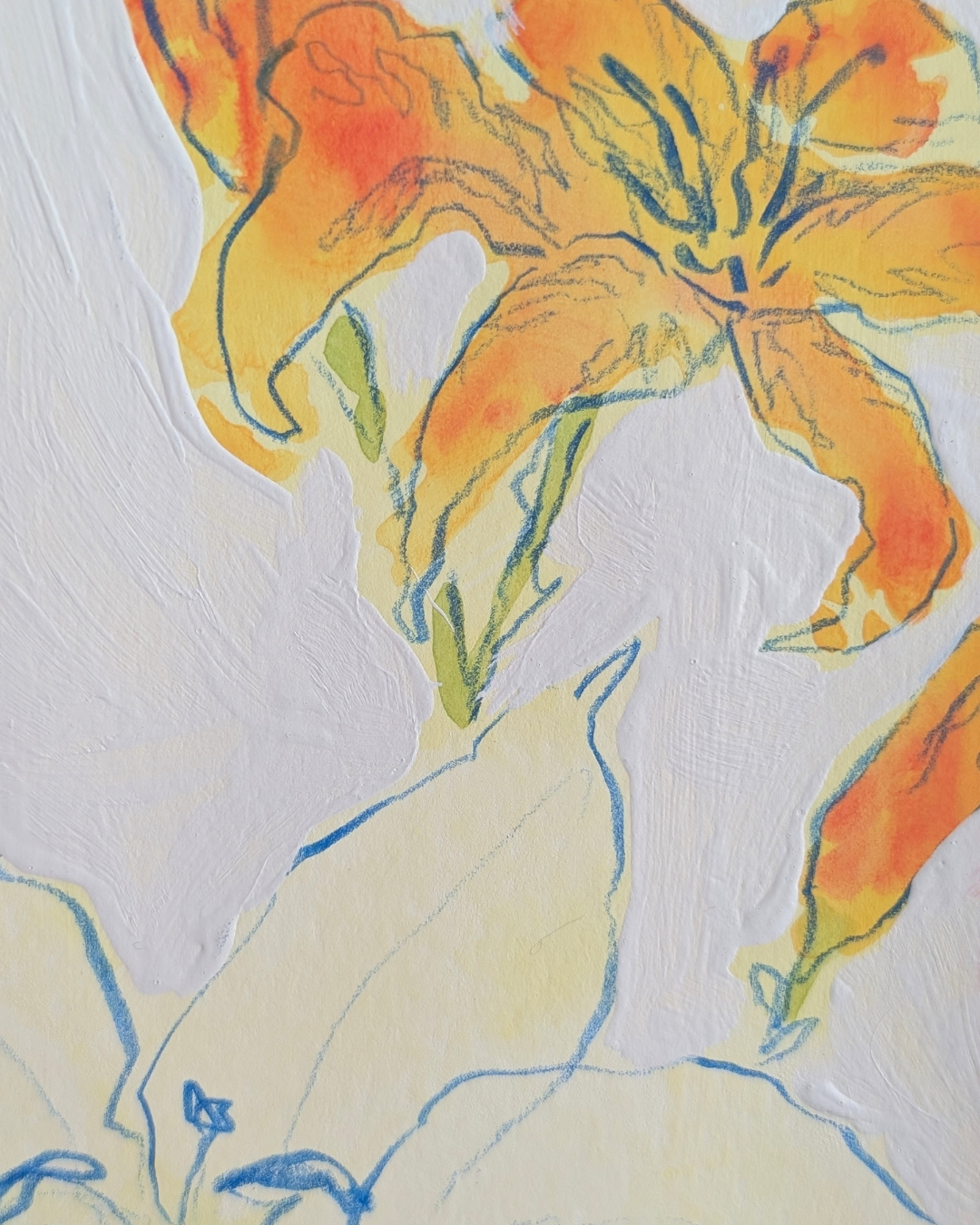 Lily Study 3/3