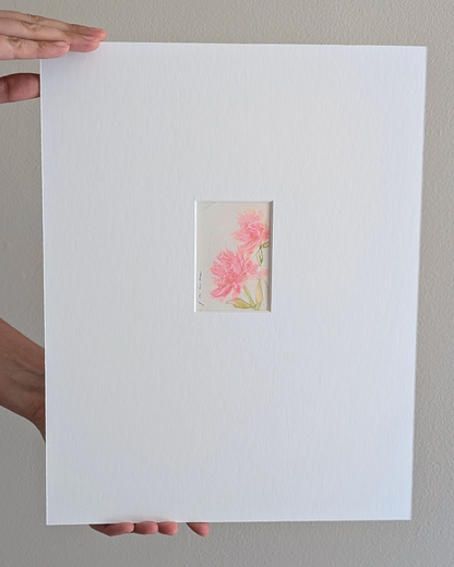 Mini Soft Peonies 1/2
