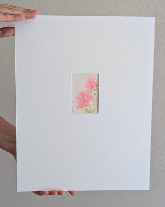 Mini Soft Peonies 1/2