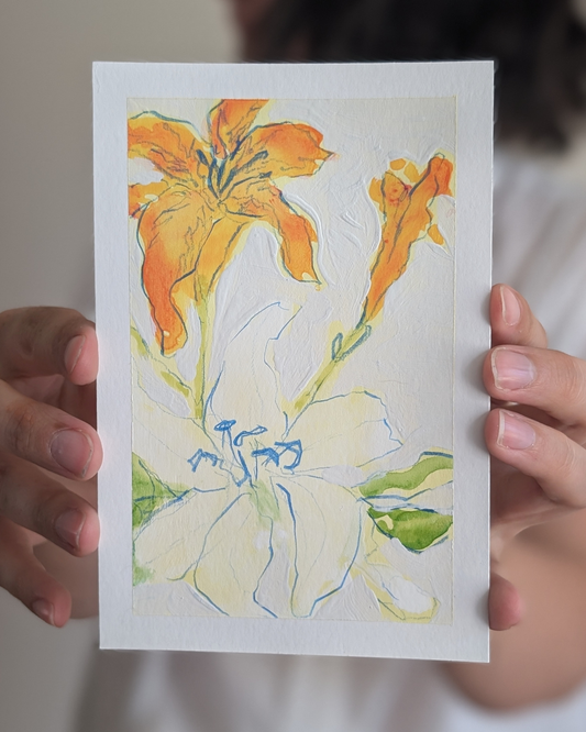 Lily Study 2/3