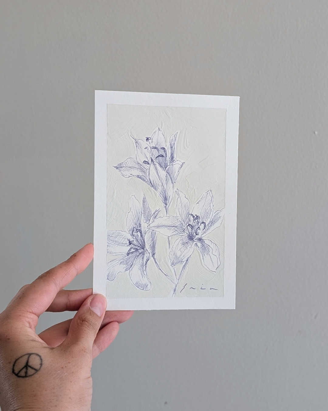 Lily Study 1/2
