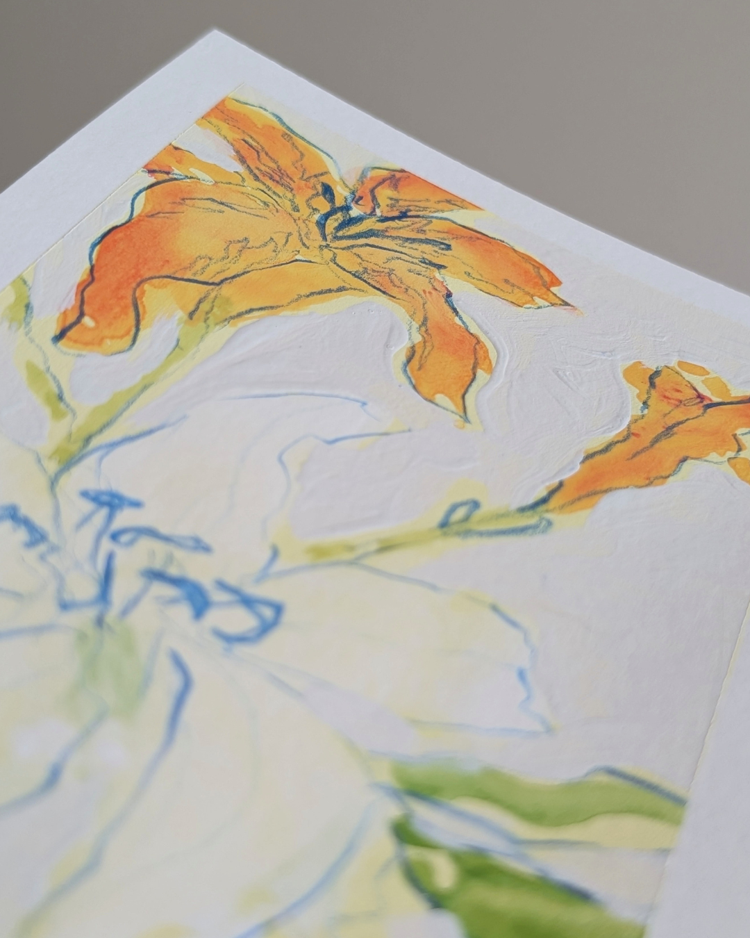 Lily Study 2/3