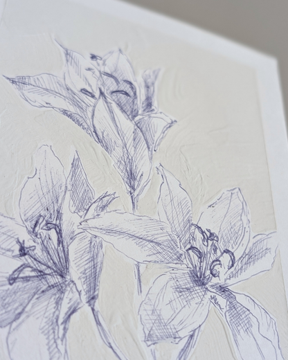 Lily Study 1/2