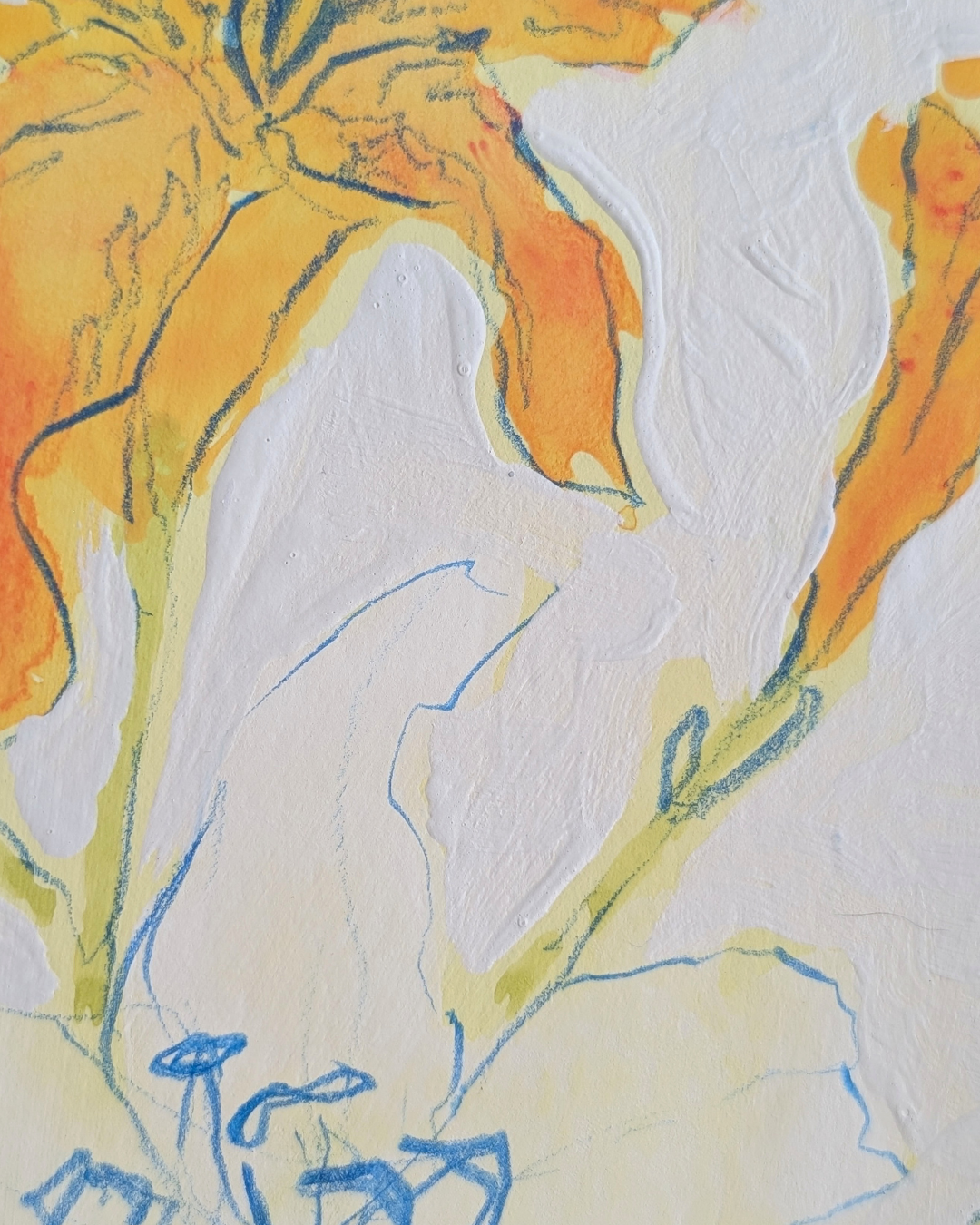 Lily Study 2/3