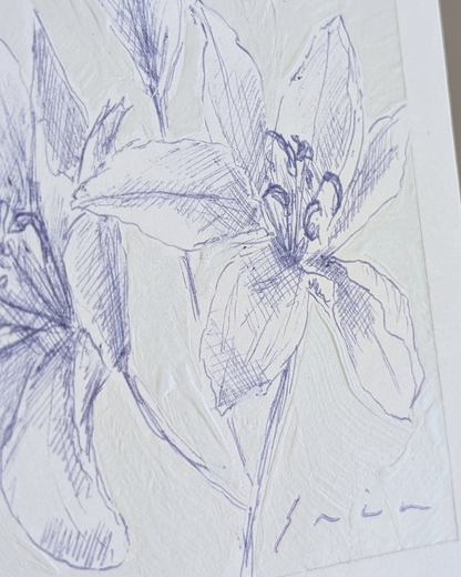 Lily Study 1/2