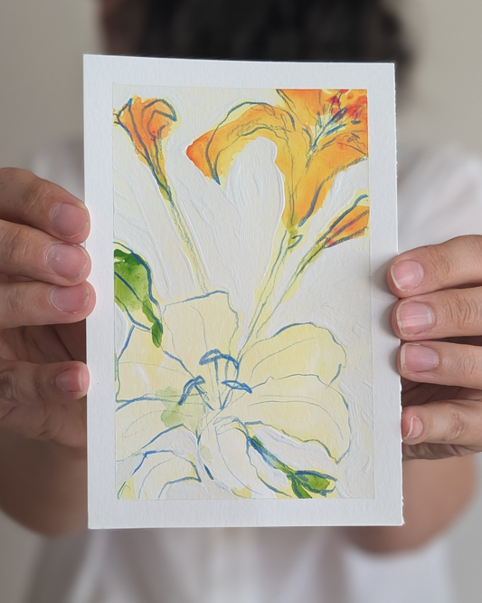 Lily Study 1/3