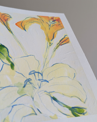 Lily Study 1/3