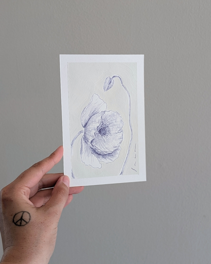 Papery Poppy
