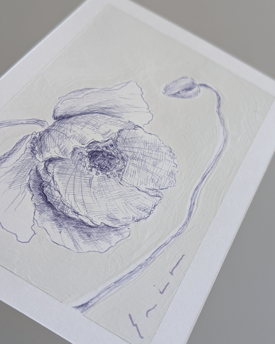 Papery Poppy
