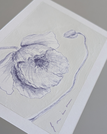 Papery Poppy