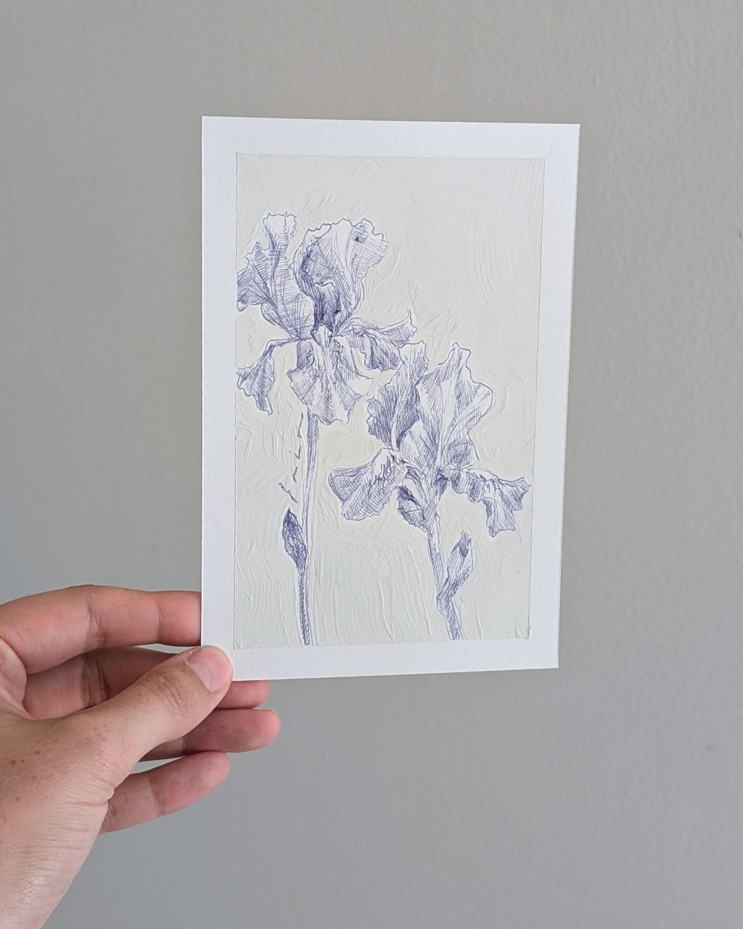 Iris Pair