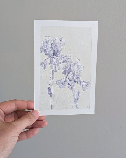 Iris Pair