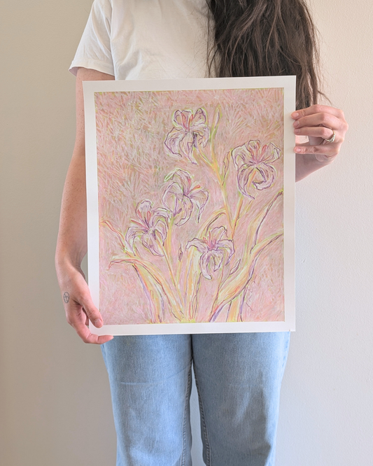 Day (Dream) Lilies