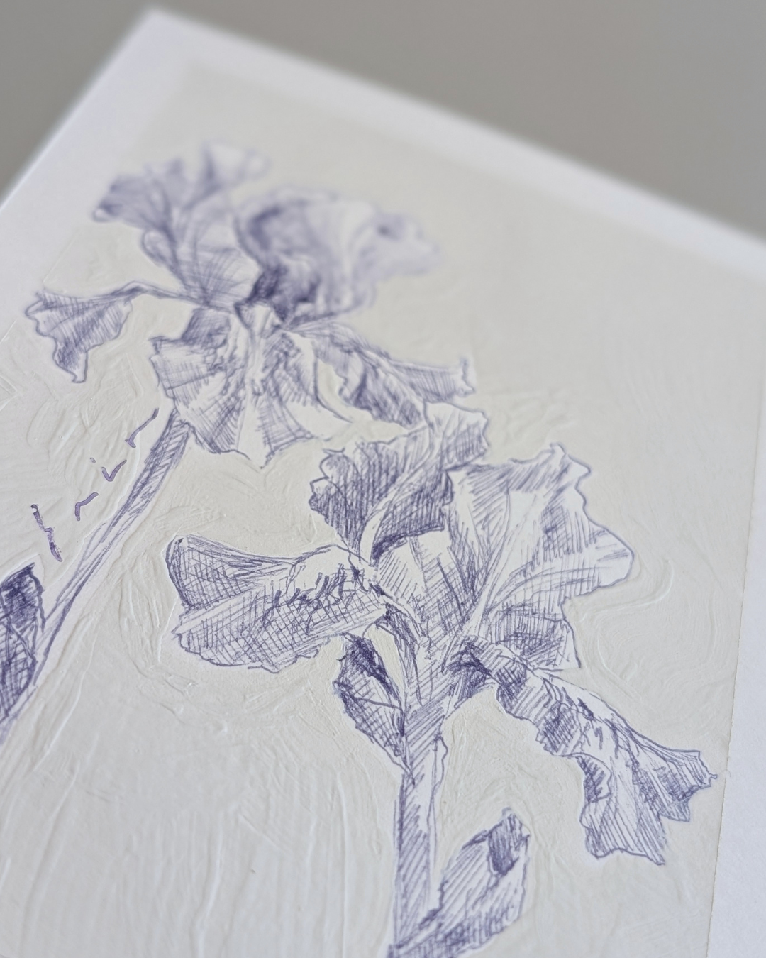 Iris Pair