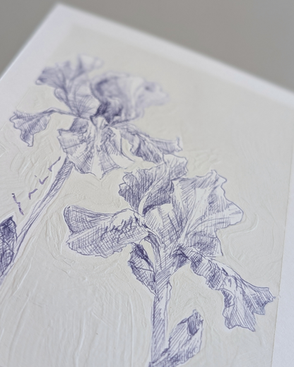 Iris Pair