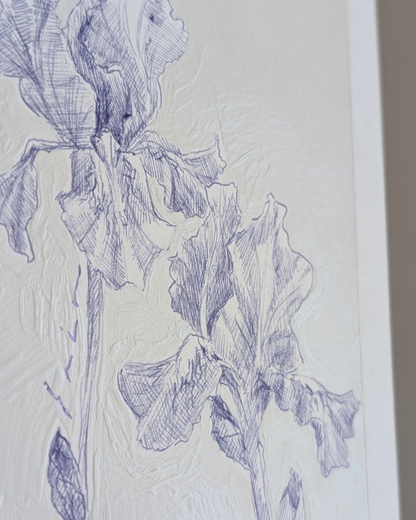 Iris Pair
