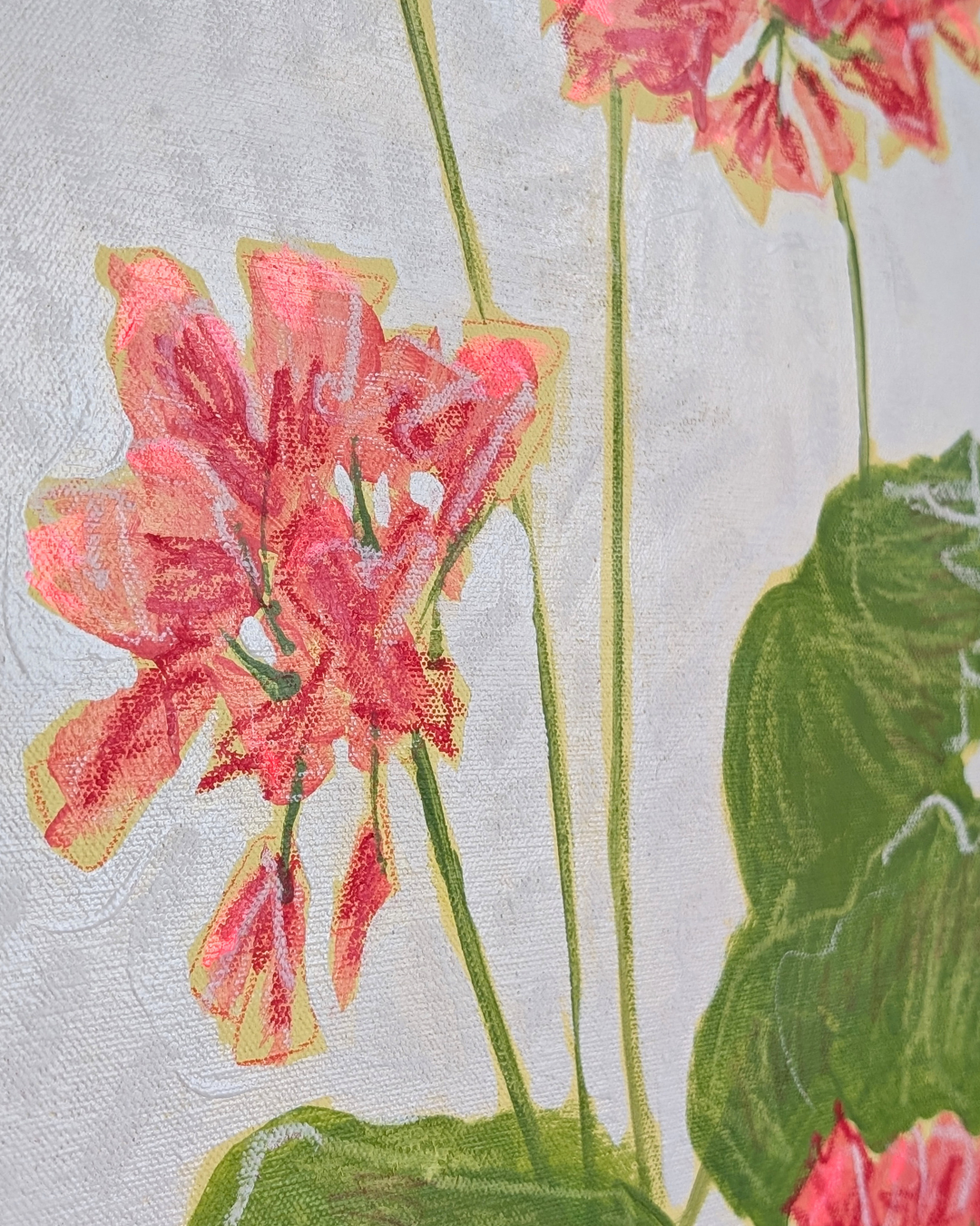Geraniums in the Window
