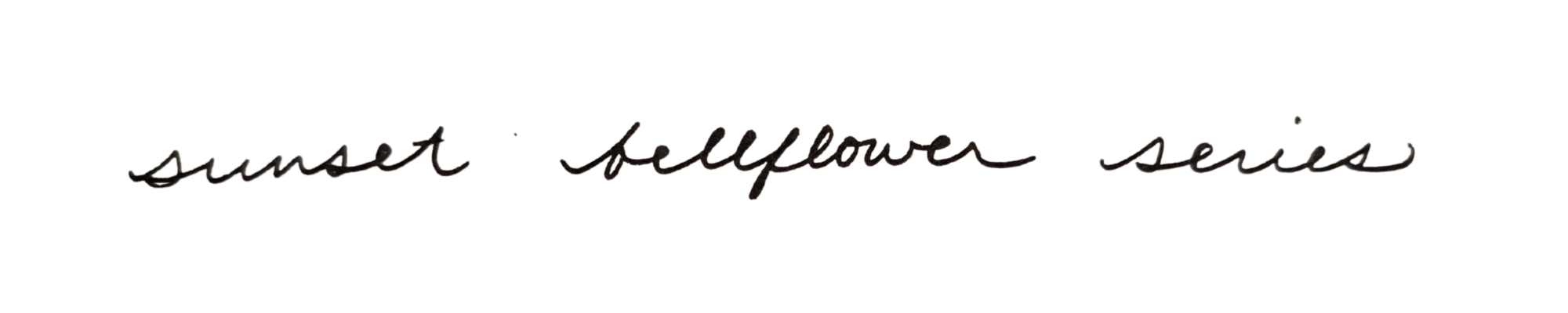 Sunset Bellflower Series