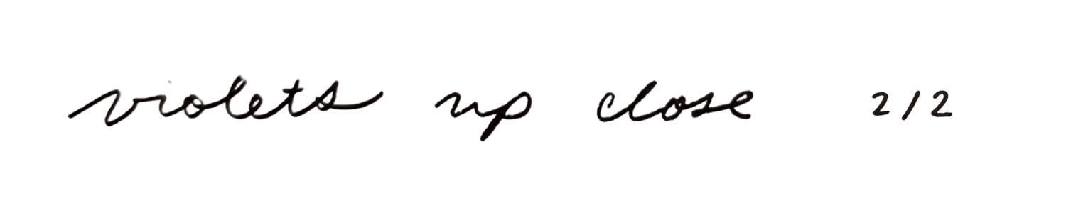 Violets Up Close Series - 2/2