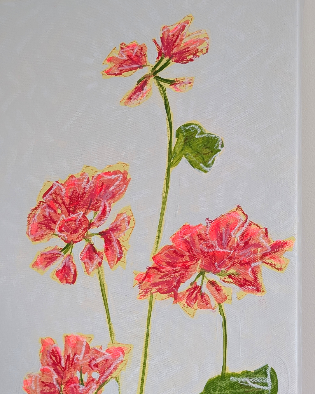 Geraniums in the Window