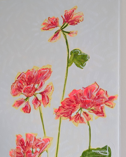 Geraniums in the Window
