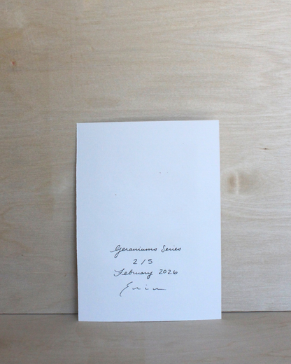 Geraniums Series - 2/5