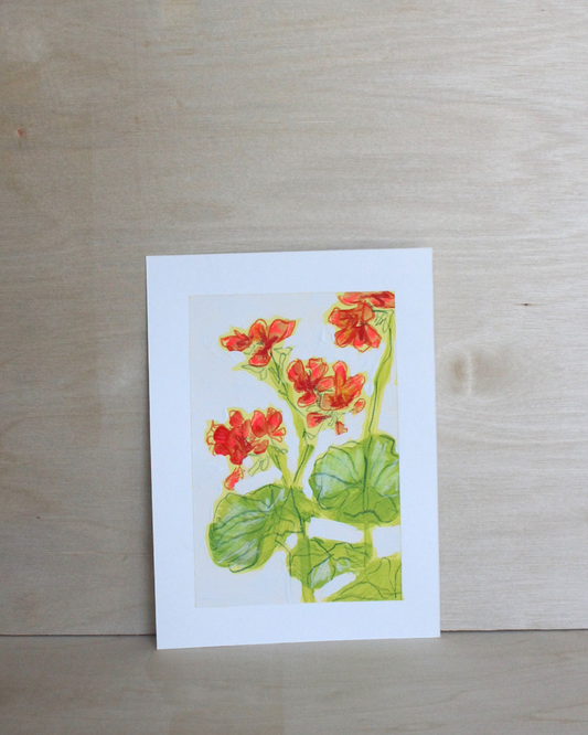 Geraniums Series - 3/5