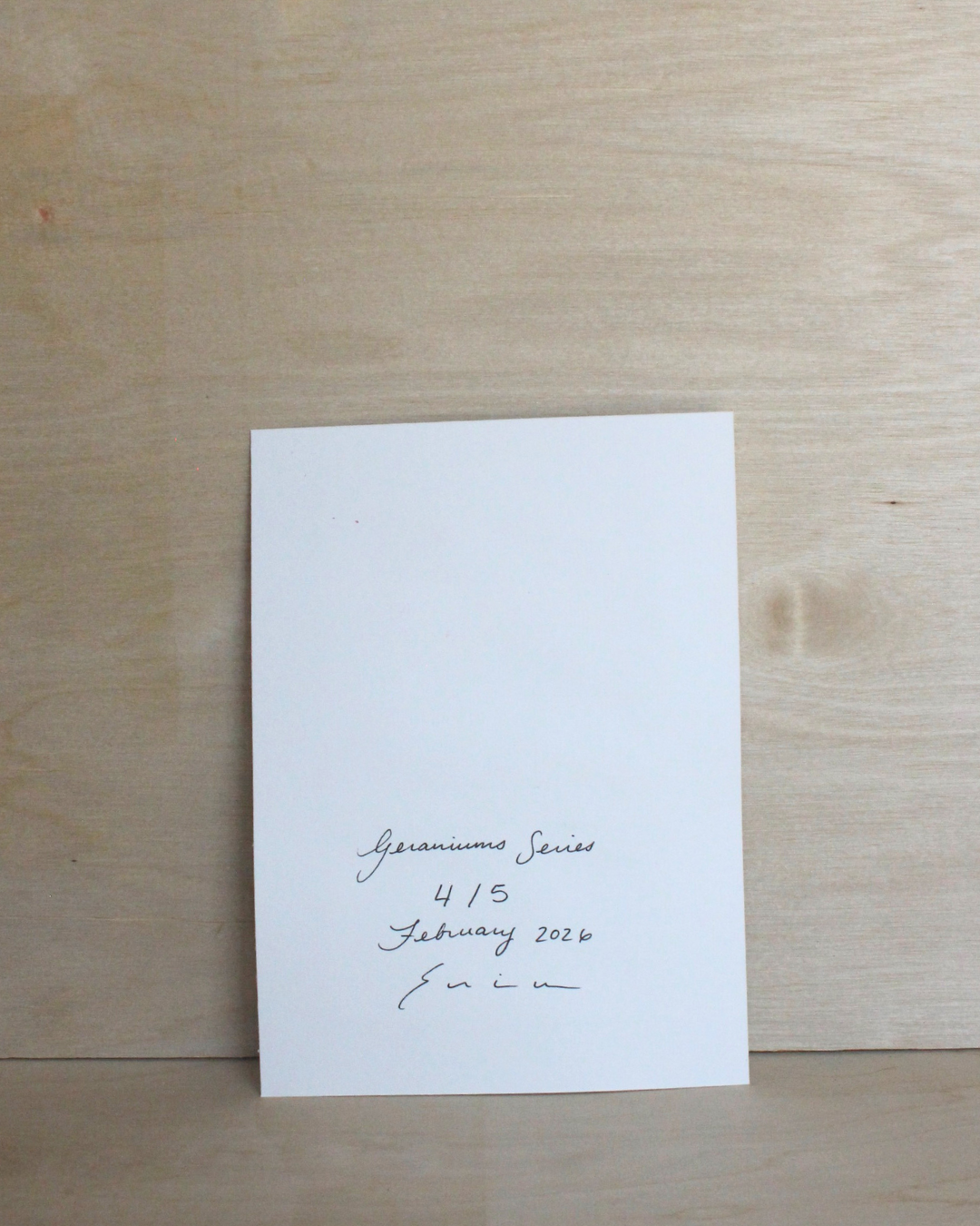 Geraniums Series - 4/5