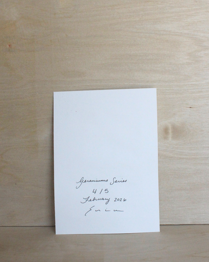 Geraniums Series - 4/5