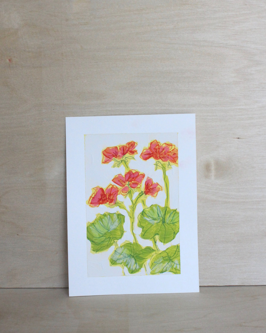 Geraniums Series - 4/5