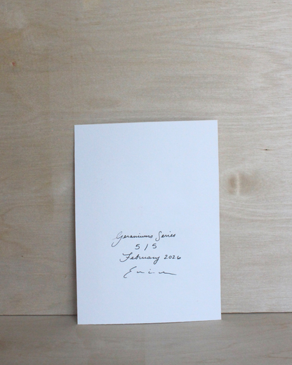 Geraniums Series - 5/5