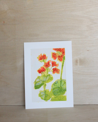 Geraniums Series - 5/5