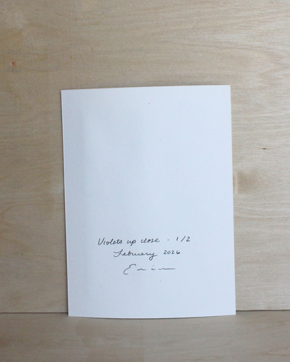 Violets Up Close Series - 1/2