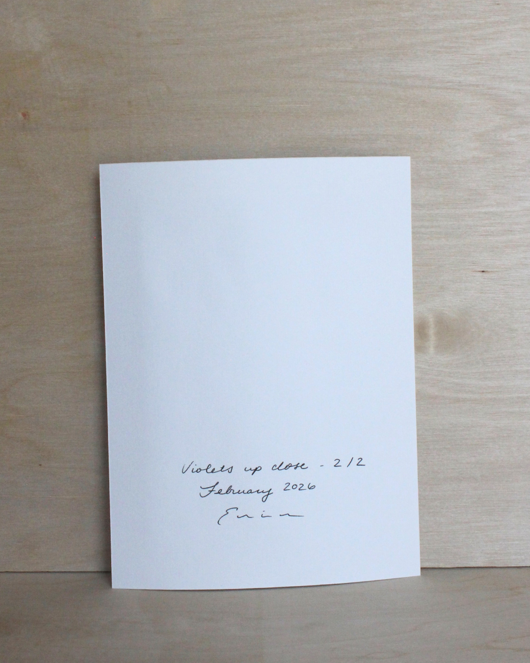 Violets Up Close Series - 2/2