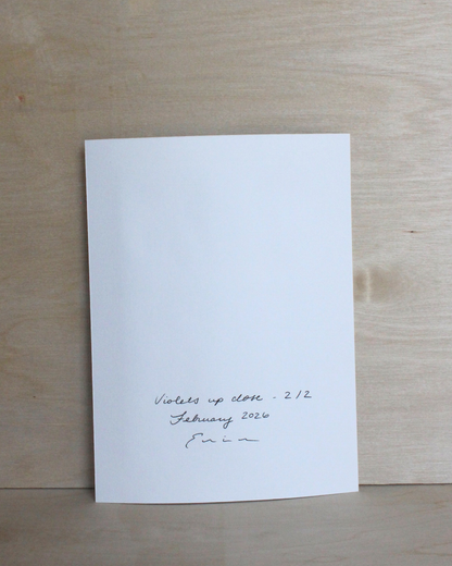 Violets Up Close Series - 2/2